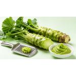 Baoshan Wasabi / Without petiole