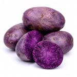Purple Potato