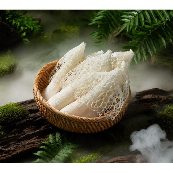 Bamboo Fungus