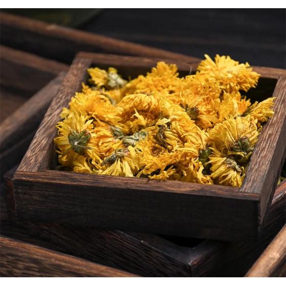 Chrysanthemum