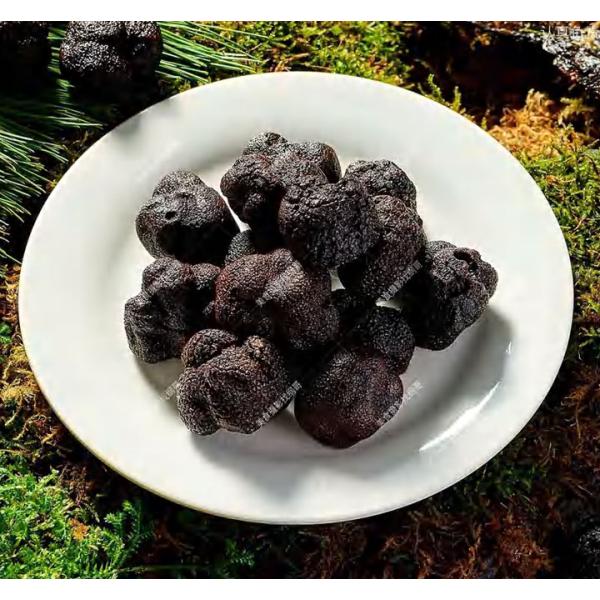Black Truffle