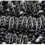 Organic Black Peanuts (Dry)