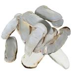 Freeze-dried Matsutake