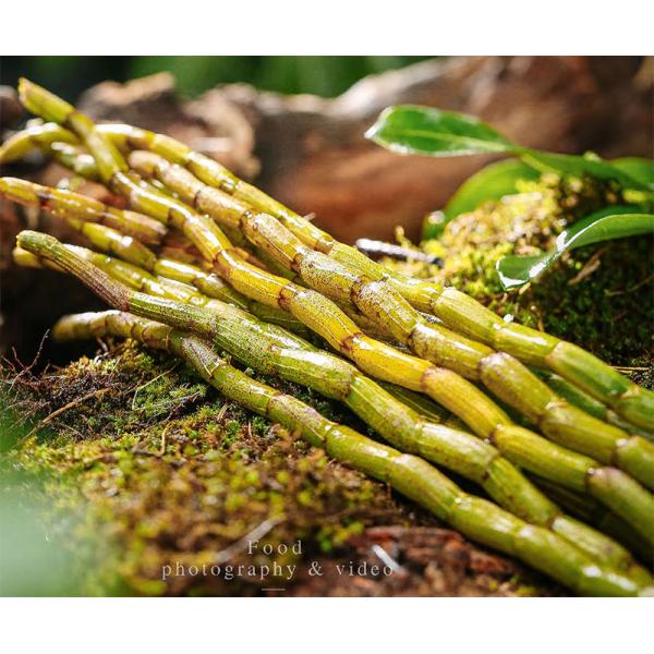 Dendrobium Stems