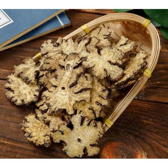 Szechuan Lovage
