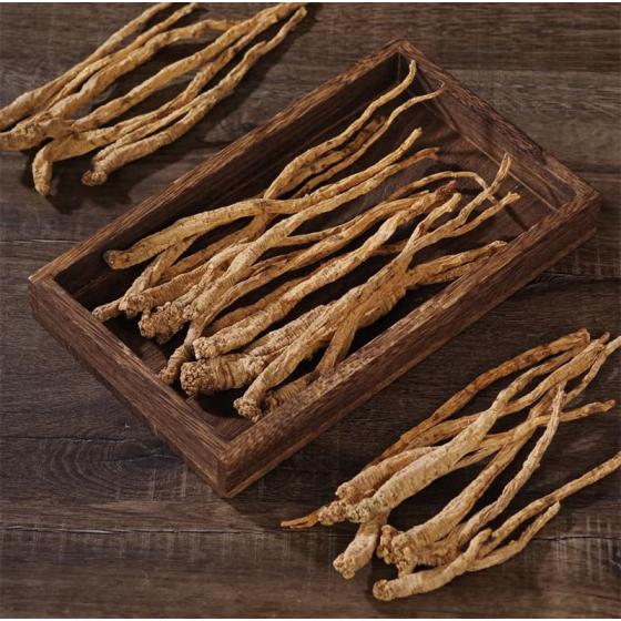 Codonopsis Root