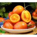 Tamarillo