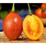 Tamarillo