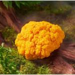 Golden Ear
