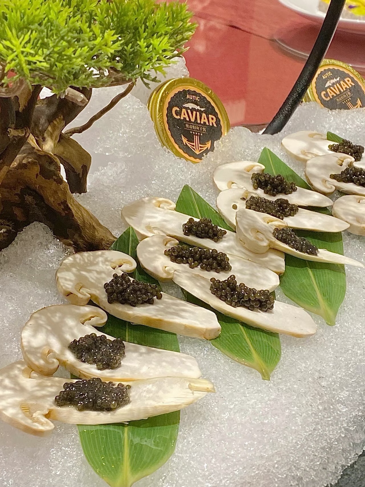 Matsutake Season — Cleaning, Storage & Six Ways to Enjoy