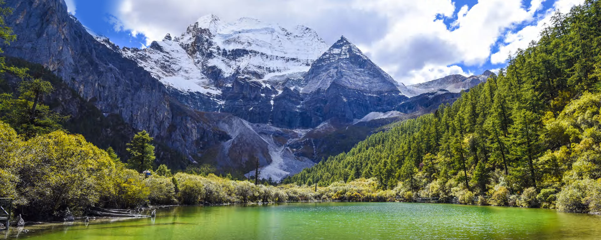 Discover Rare Ingredients From Yunnan