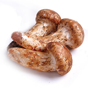 Mushrooms